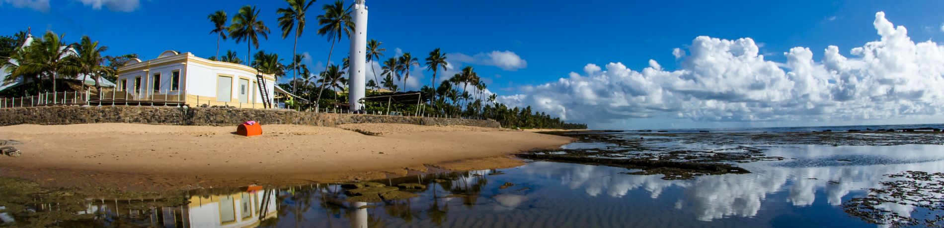 Passeio a Praia do Forte com Guarajuba