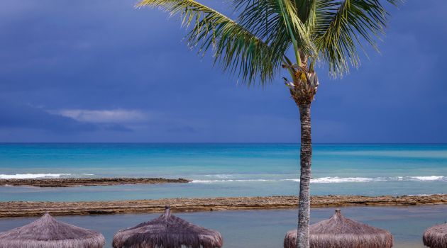 Explore 2024 com Estilo: Dicas Imperdíveis da VIPMAR para suas Viagens Inesquecíveis!